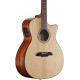 ALVAREZ AG60CEAR