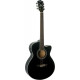 WASHBURN EA12 B