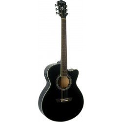 WASHBURN EA12 B