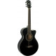 WASHBURN EA10 B
