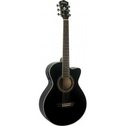 WASHBURN EA10 B