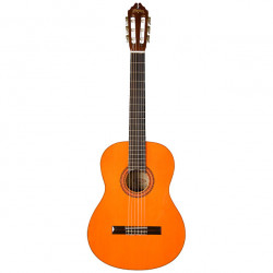 WASHBURN C5
