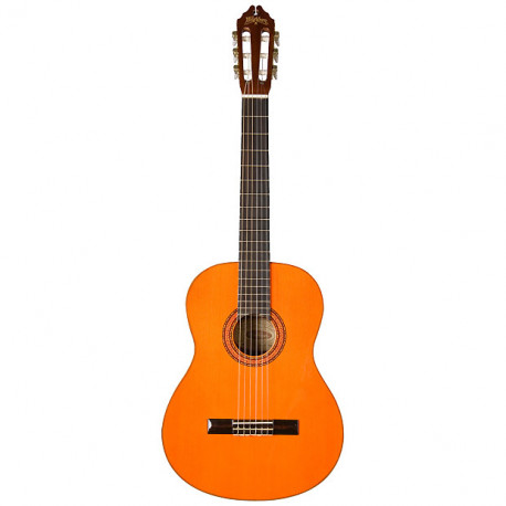 WASHBURN C5
