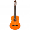WASHBURN C5