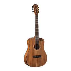 WASHBURN WCGM55K