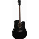 WASHBURN AD5CEB