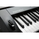 KURZWEIL KA-120