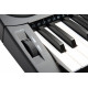KURZWEIL KP120A