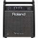 ROLAND PM100
