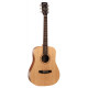 CORT Earth 50 (Open Pore)