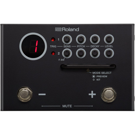 ROLAND TM-1