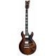 SCHECTER S-1 CUSTOM TAMB 2011