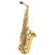 J.MICHAEL AL-780 Alto Saxophone
