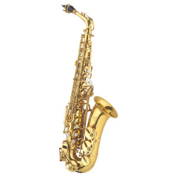 J.MICHAEL AL-780 Alto Saxophone