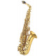 J.MICHAEL AL-600 (P) Alto Saxophone