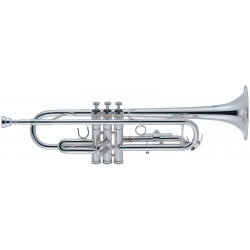 J.MICHAEL TR300SA (S)