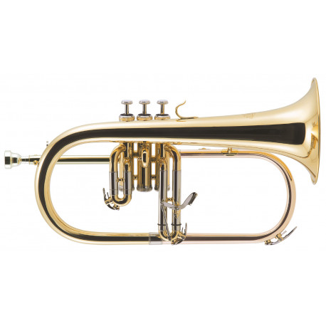 J.MICHAEL FG500 (S)