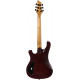 SCHECTER SGR 006 WSN