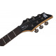 SCHECTER SGR BANSHEE-6 EB