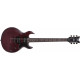 SCHECTER S-1 SGR WSN