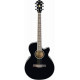 IBANEZ AEG8E-BK