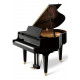 KAWAI GL10 MEP