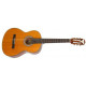 EPIPHONE PRO-1 CLASSIC 2.0