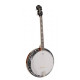 Банджо Richwood RMB-904