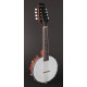 Банджо Richwood RMBM-408