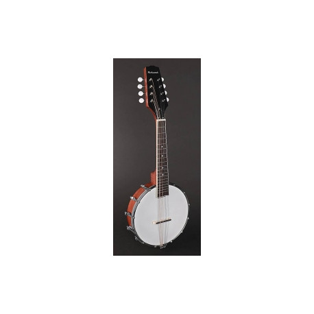 Банджо Richwood RMBM-408