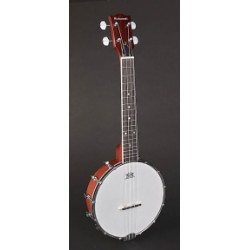 Банджо Richwood RMBU-404