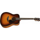 YAMAHA FG800 (BS)