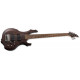 LTD F205FM (Walnut Brown Satin)