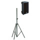 SOUNDKING SK S0815A2