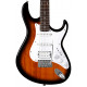 CORT G110 2T