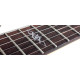 SCHECTER SGR C-1 MSBK