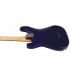 SCHECTER SGR C-1 EB