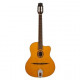 Гитара акустическая Richwood RM-70-NT jazz guitar