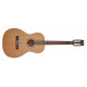 Гитара акустическая Richwood RV-70-NT blues guitar