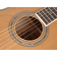 Гитара акустическая Richwood RV-70-NT blues guitar