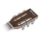 Гитара акустическая Richwood RV-70-NT blues guitar