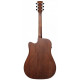 IBANEZ AW150CE OPN