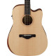 IBANEZ AW150CE OPN