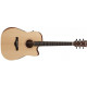 IBANEZ AW150CE OPN