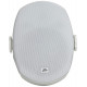 PEAVEY Impulse 5c (White)
