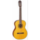 TAKAMINE GC3 NAT