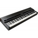 KURZWEIL MPS110