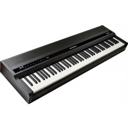 KURZWEIL MPS110
