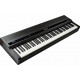 KURZWEIL MPS120