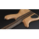 WARWICK STREAMER STAGE I LTD 2012 30TH ANNIVERSARY EDITION